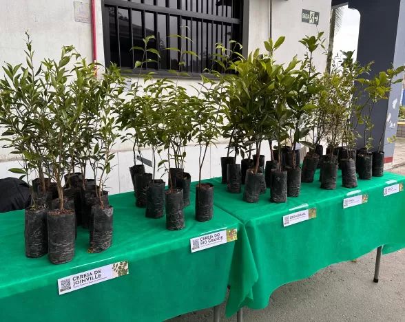 Litoral Engenharia participa da Semana do Meio Ambiente da Maersk 
