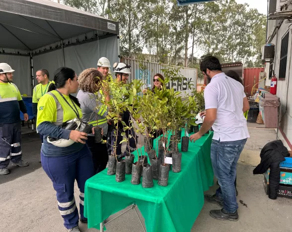 Litoral Engenharia participa da Semana do Meio Ambiente da Maersk 