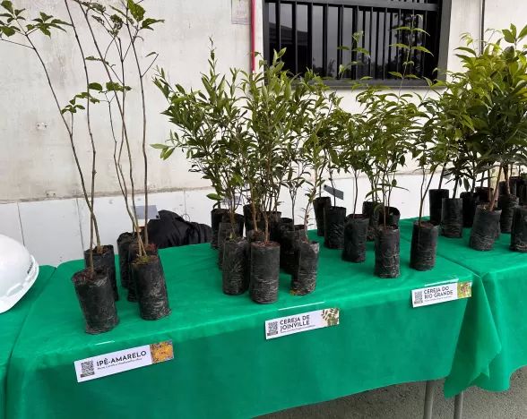 Litoral Engenharia participa da Semana do Meio Ambiente da Maersk 